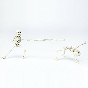 Amazon.com: Re-Ment Pose Skeleton Human 01 moveable 1/18